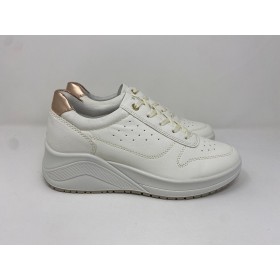 11417 PEDRA - Scarpa - Igi&Co
