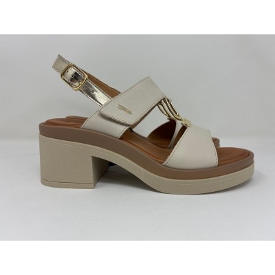 11934 SIMONA - Scarpa - Igi&Co