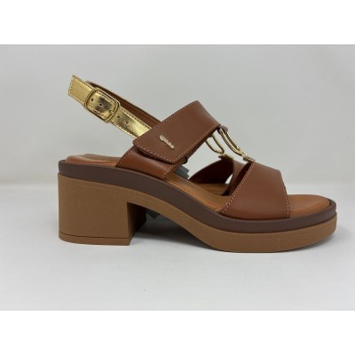 11934 SIMONA - Scarpa - Igi&Co