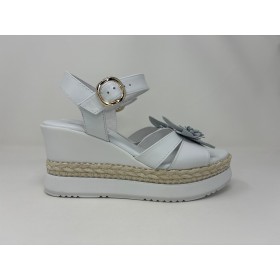 E616012 - Scarpe - Nero Giardini