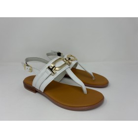 059 - Scarpa - Talea